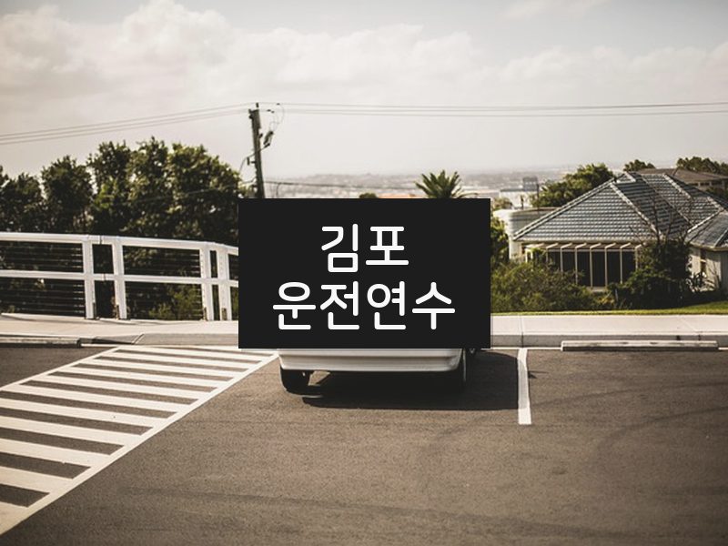 김포운전연수 후기