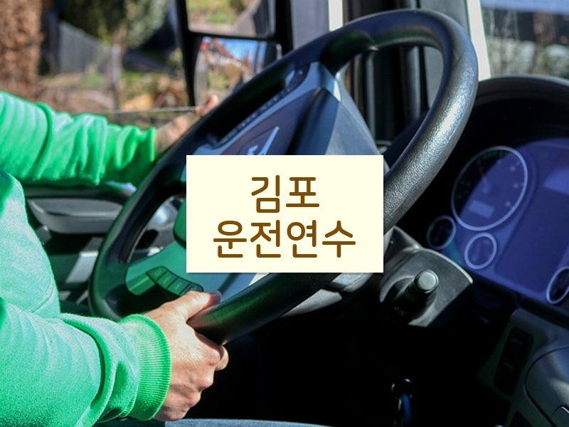 김포운전연수 후기