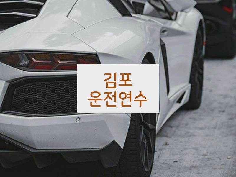 김포운전연수 후기