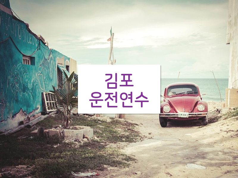 김포운전연수 후기