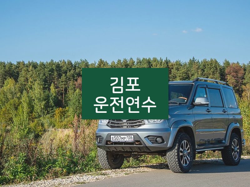 김포운전연수 후기