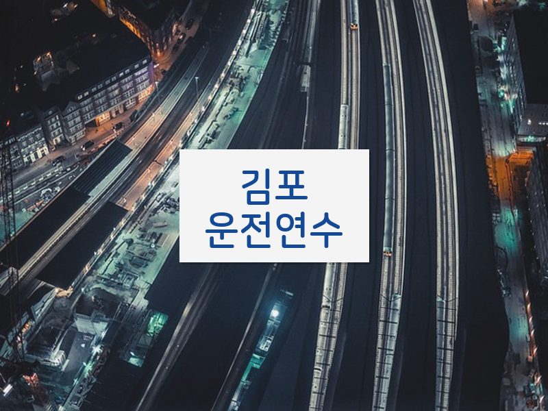 김포운전연수 후기
