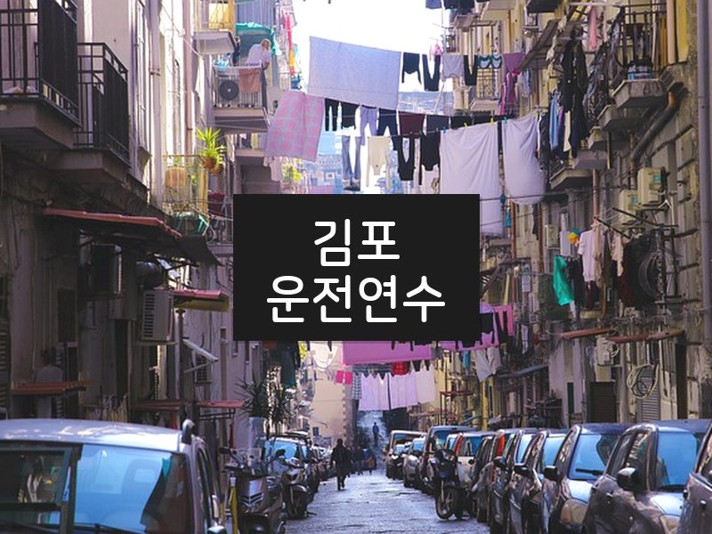 김포운전연수 후기