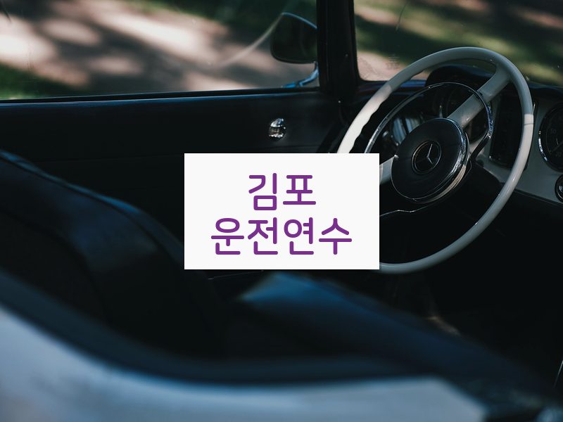 김포운전연수 후기