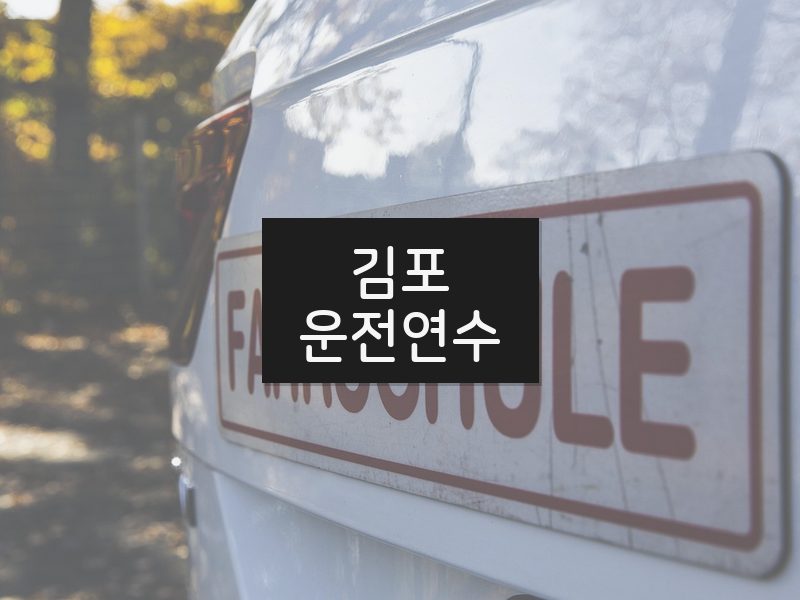 김포운전연수 후기