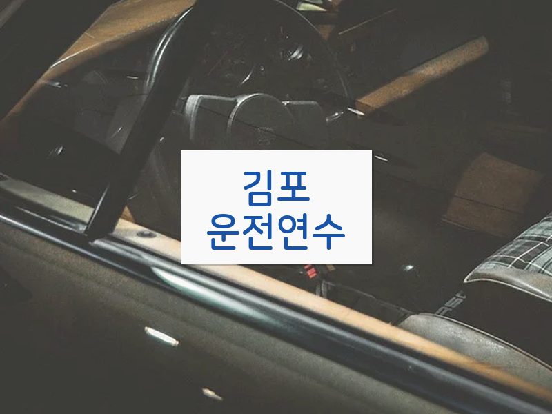 김포운전연수 후기