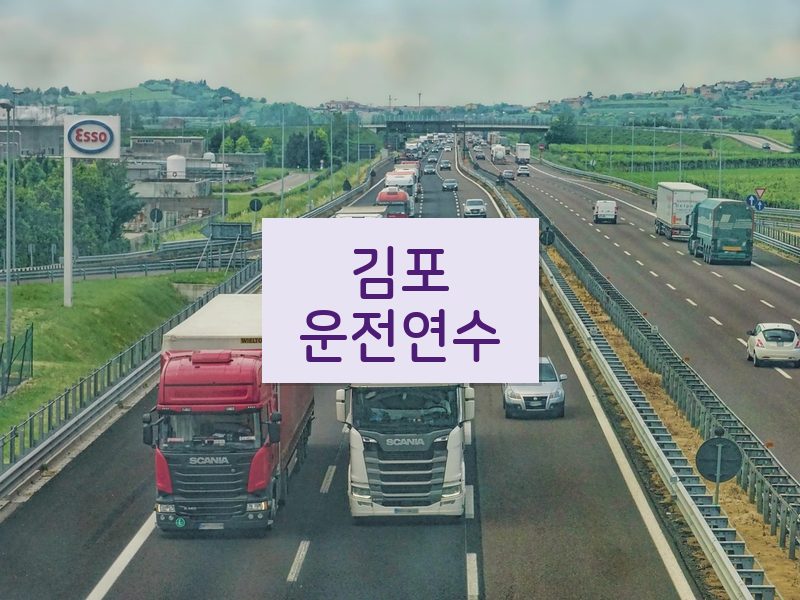 김포운전연수 후기
