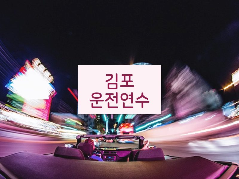 김포운전연수 후기