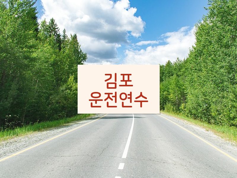 김포운전연수 후기