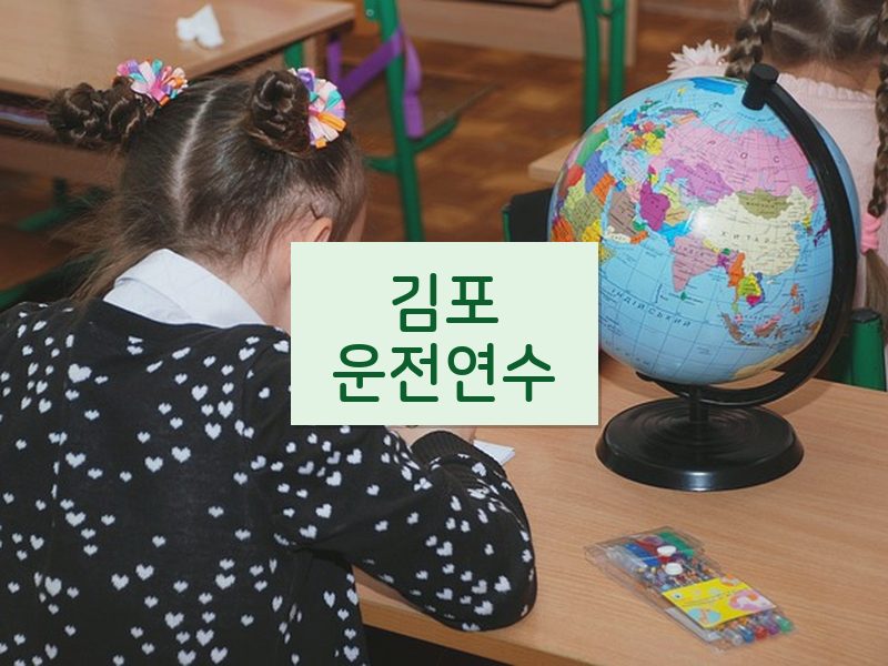 김포운전연수 후기