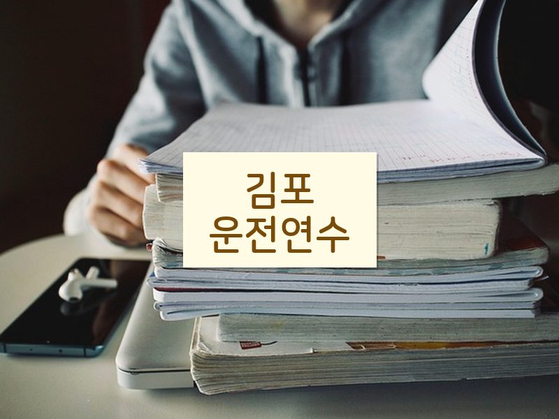 김포운전연수 후기