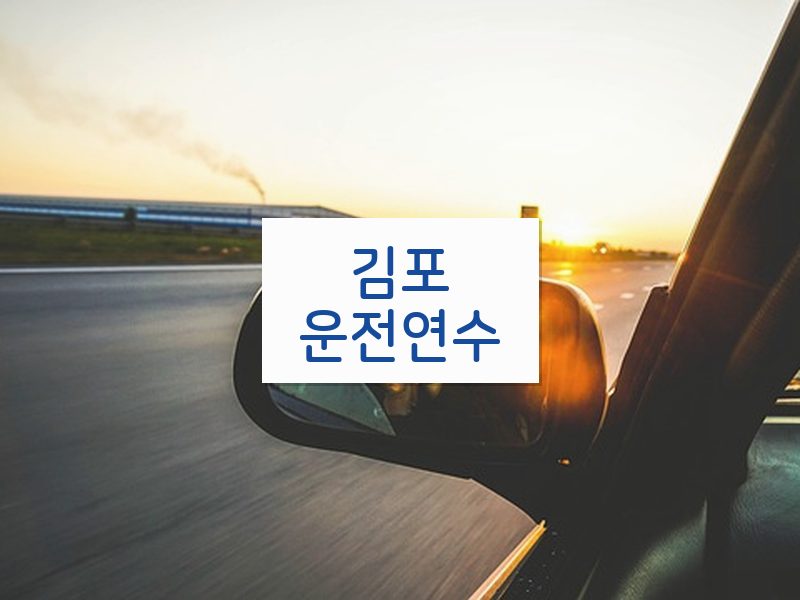 김포운전연수 후기