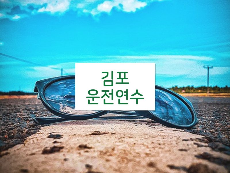 김포운전연수 후기