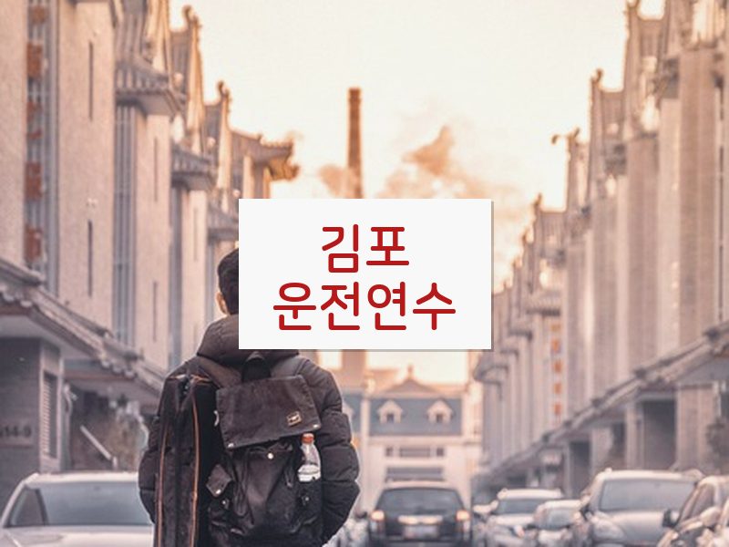 김포운전연수 후기