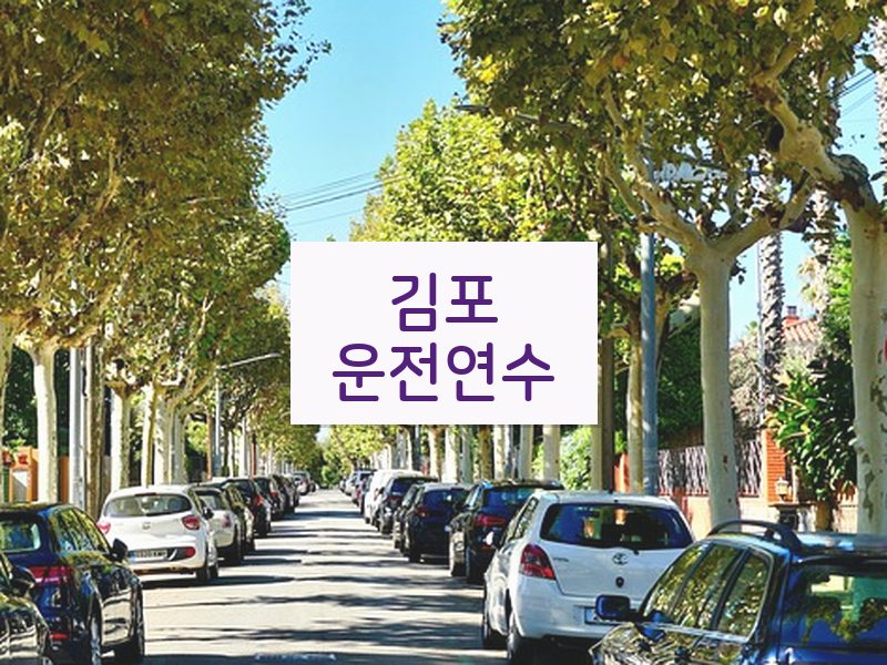 김포운전연수 후기