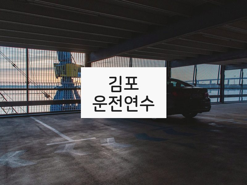 김포운전연수 후기