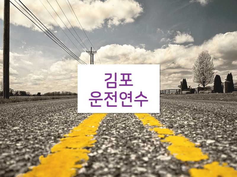 김포운전연수 후기