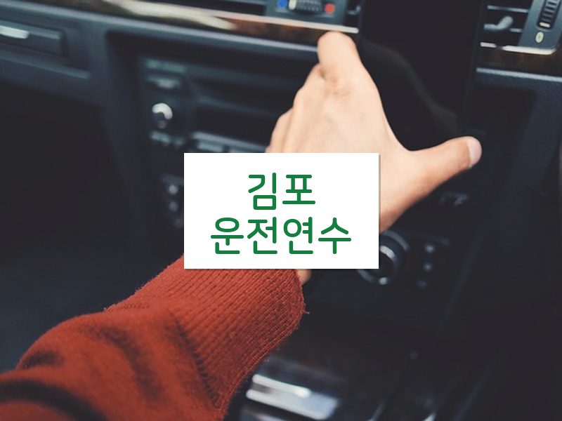 김포운전연수 후기