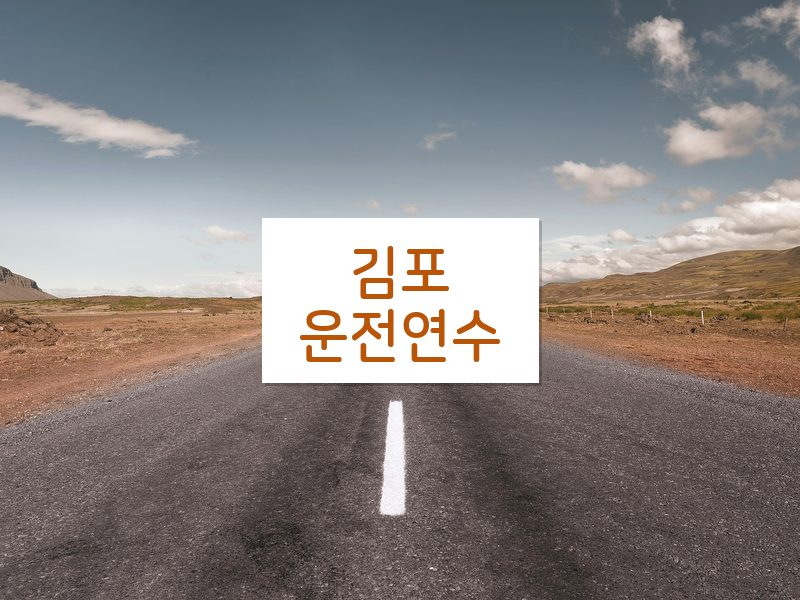 김포운전연수 후기