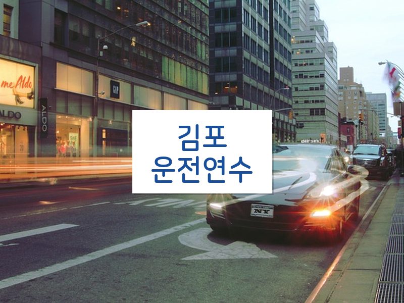 김포운전연수 후기
