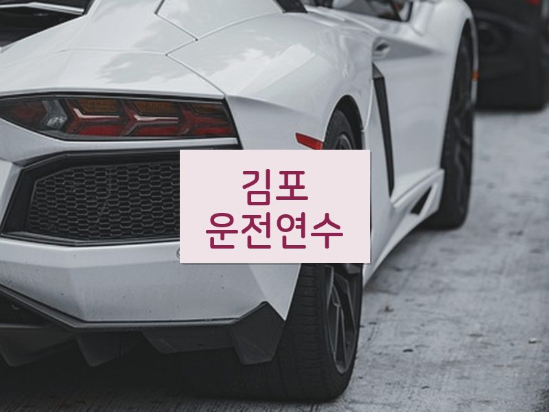 김포운전연수 후기