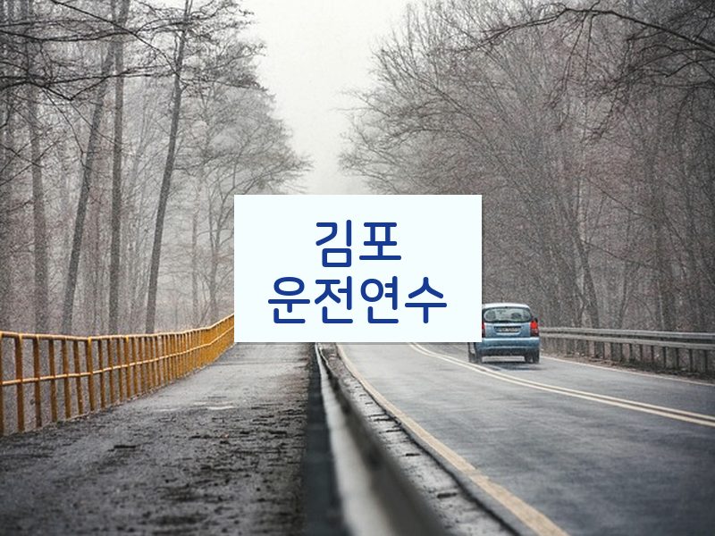 김포운전연수 후기