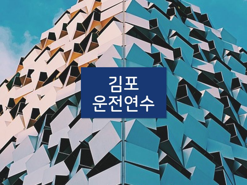 김포운전연수 후기