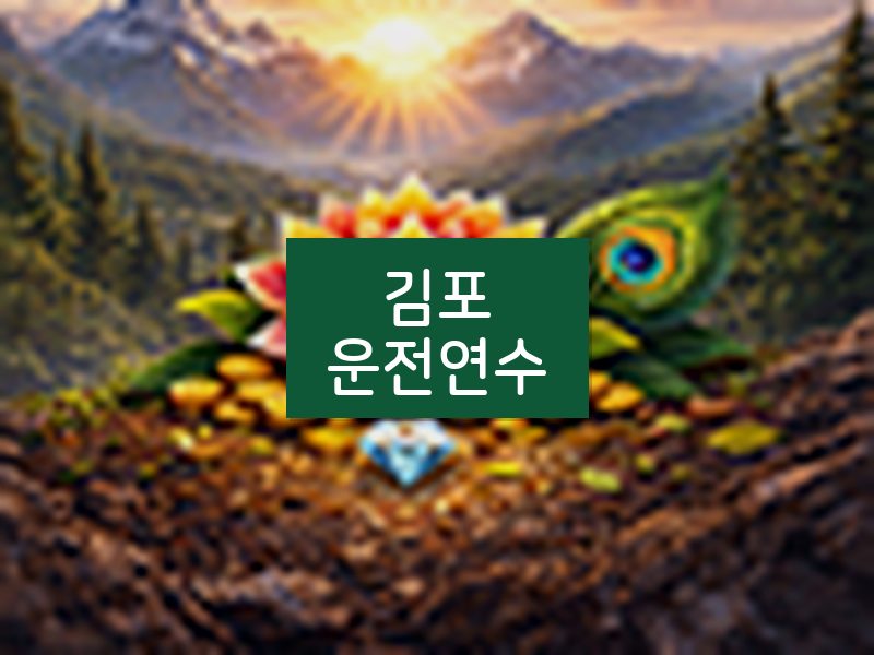 김포운전연수 후기