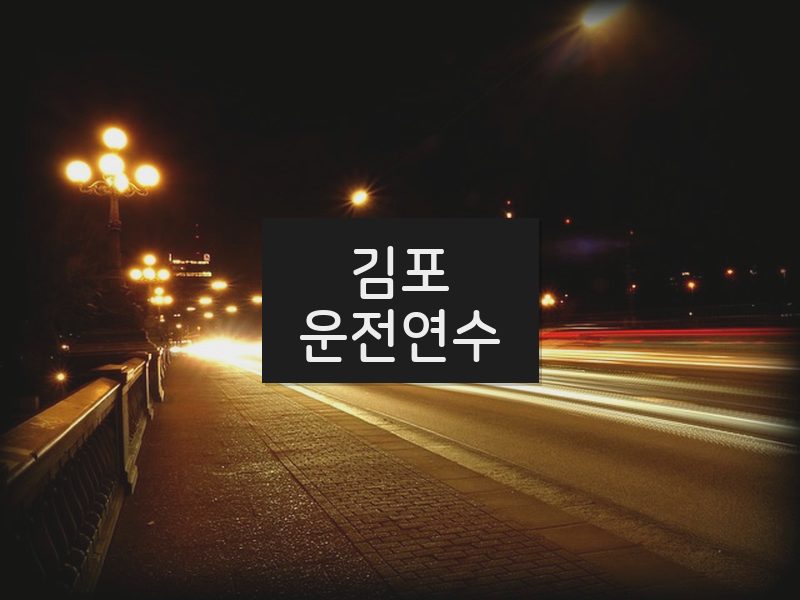 김포운전연수 후기