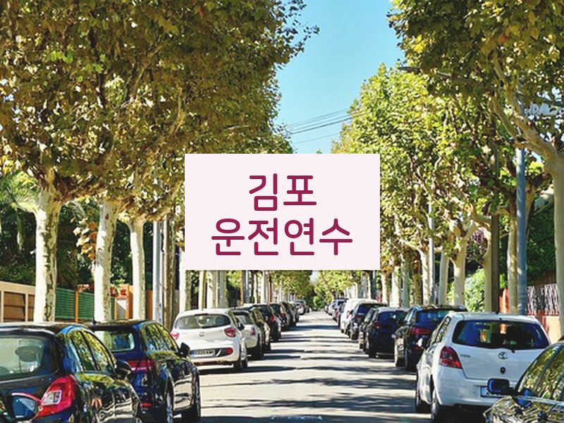 김포운전연수 후기