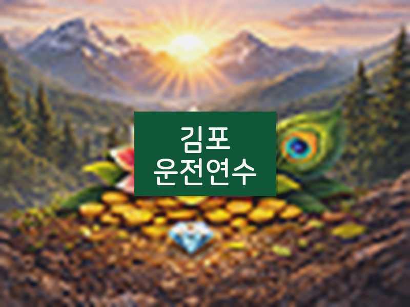 김포운전연수 후기