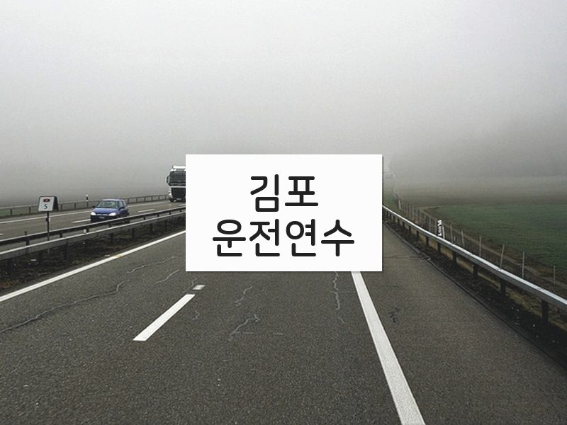 김포운전연수 후기
