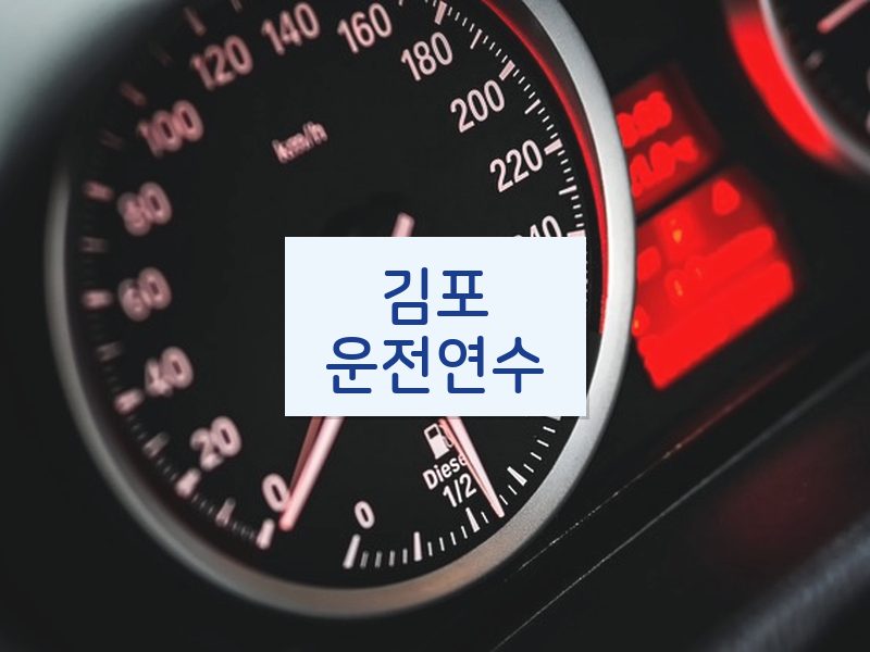 김포운전연수 후기