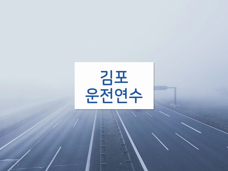 김포운전연수 후기