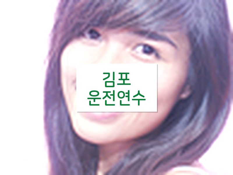 김포운전연수 후기