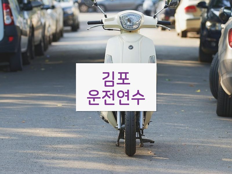 김포운전연수 후기