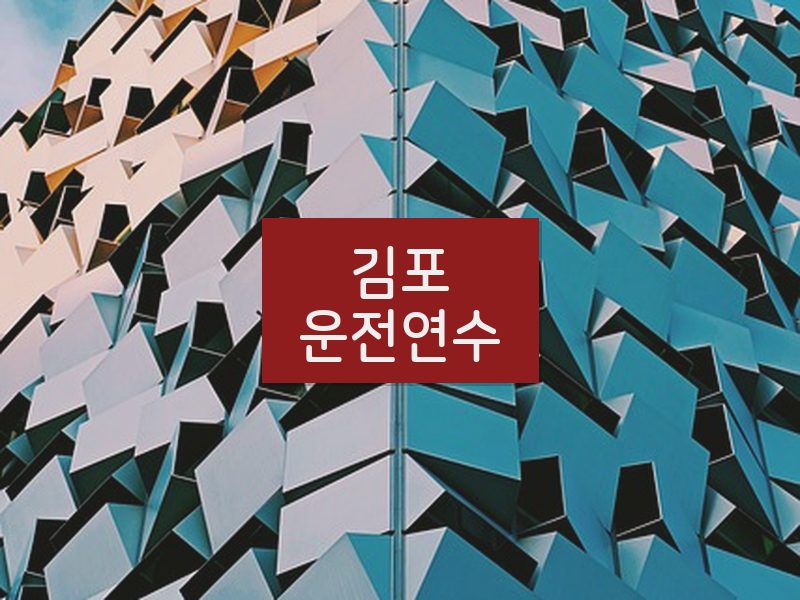 김포운전연수 후기