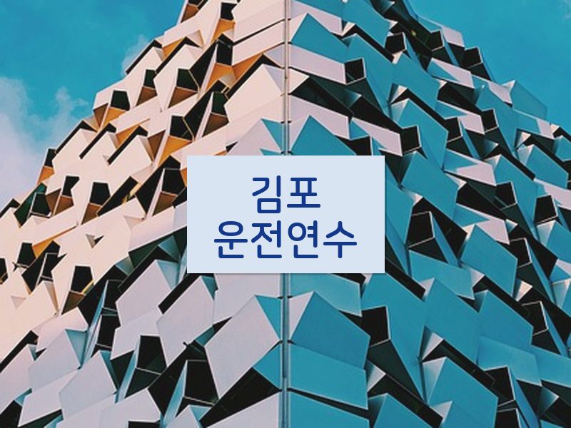김포운전연수 후기