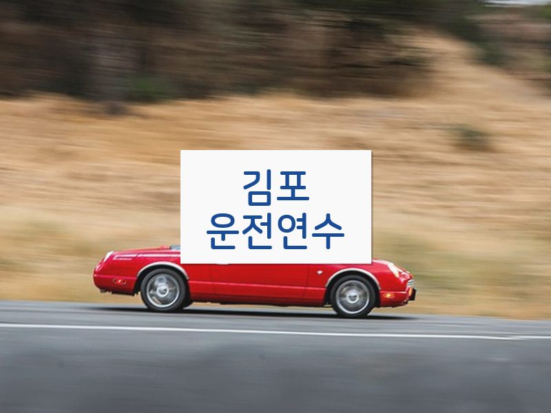 김포운전연수 후기