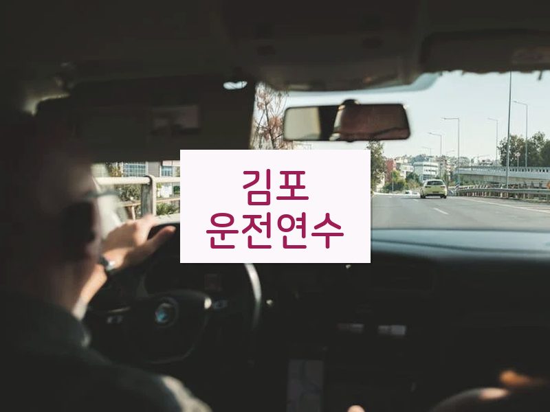 김포운전연수 후기