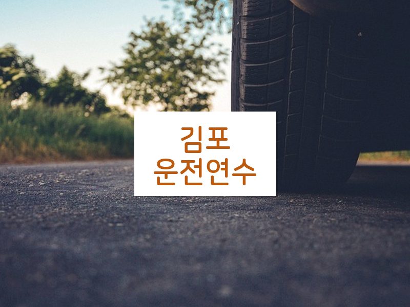 김포운전연수 후기