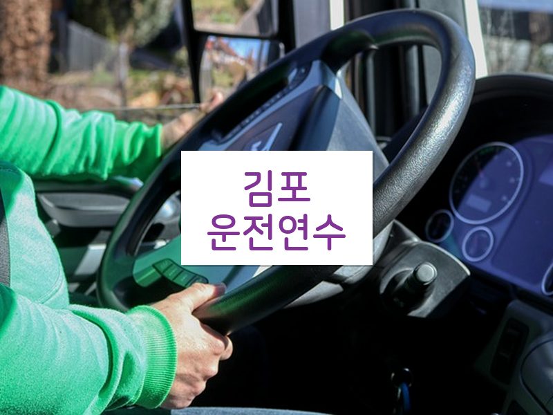김포운전연수 후기