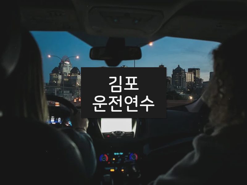 김포운전연수 후기