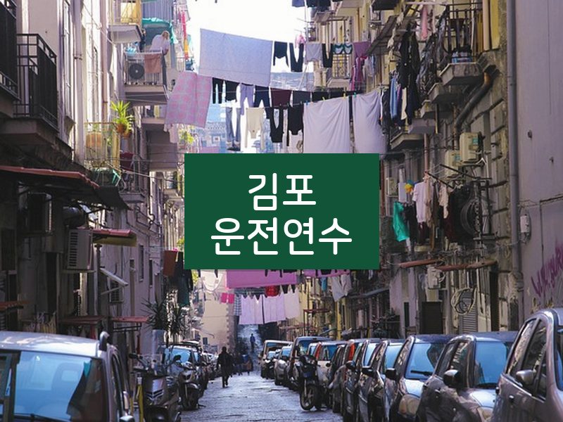 김포운전연수 후기