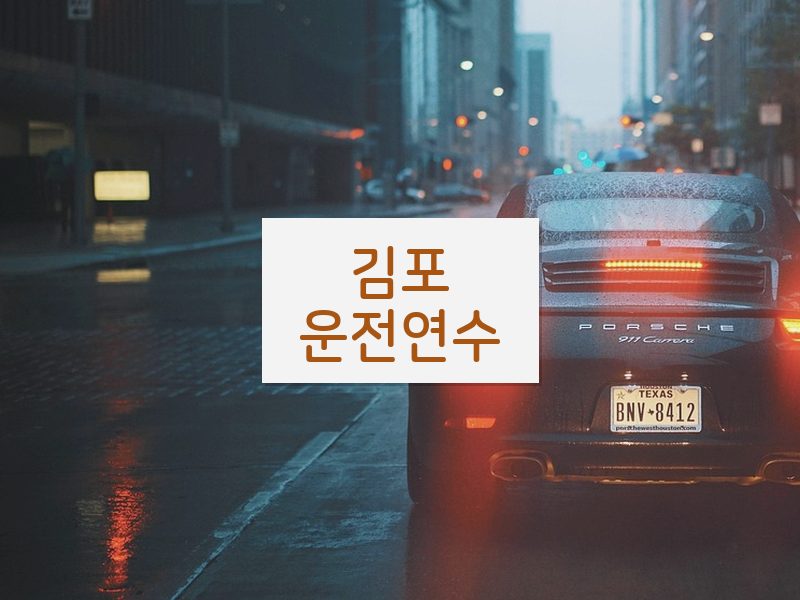 김포운전연수 후기