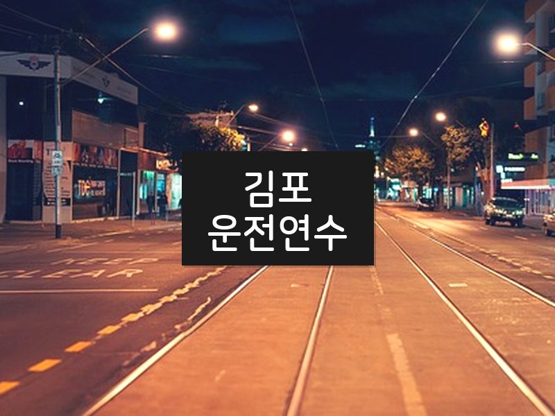 김포운전연수 후기