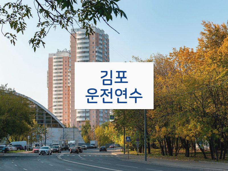 김포운전연수 후기