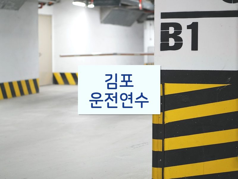 김포운전연수 후기
