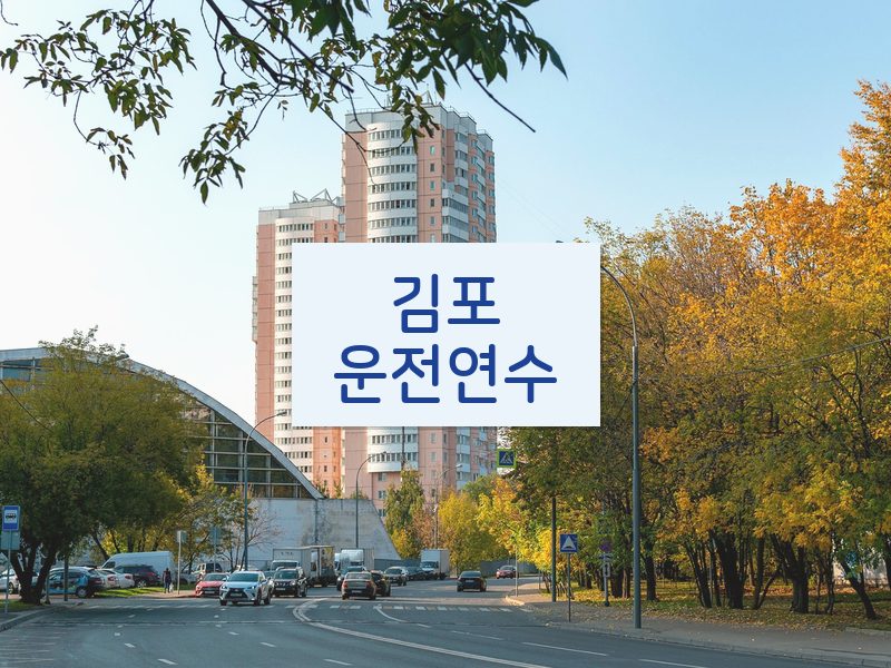김포운전연수 후기