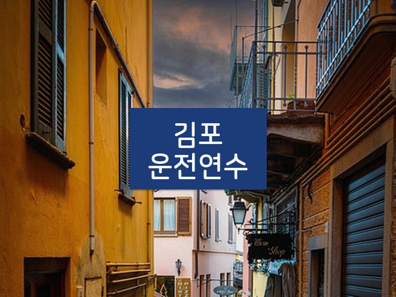 김포운전연수 후기